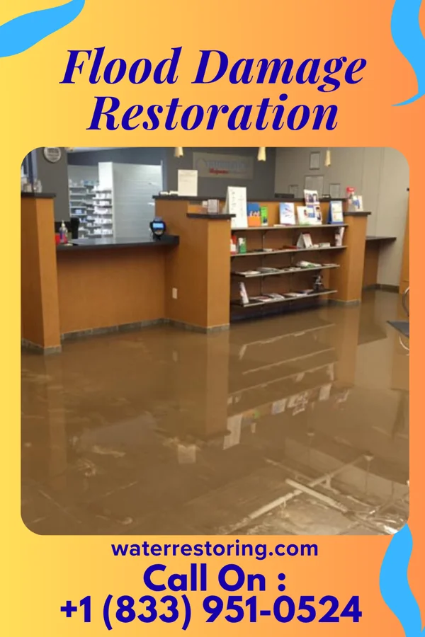 Flood Damage Restoration in Wilkinson Heights, SC
