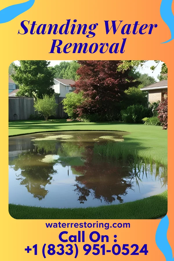 Standing Water Removal in Wilkinson Heights, SC